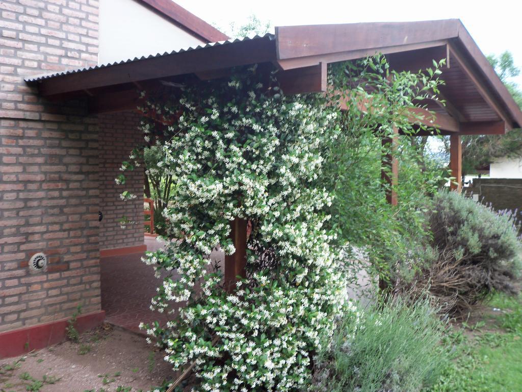 Cabanas El Dominador La Falda Exterior photo